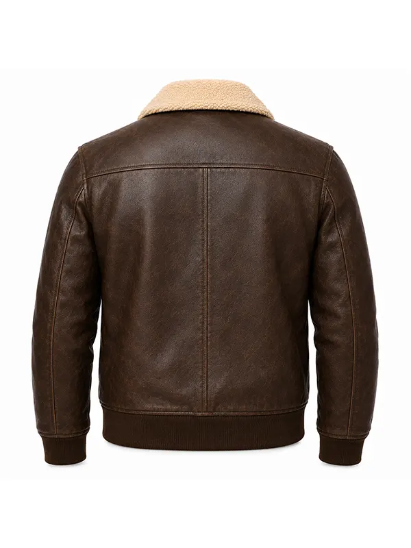 men's brown leather aviator jacket back view collar